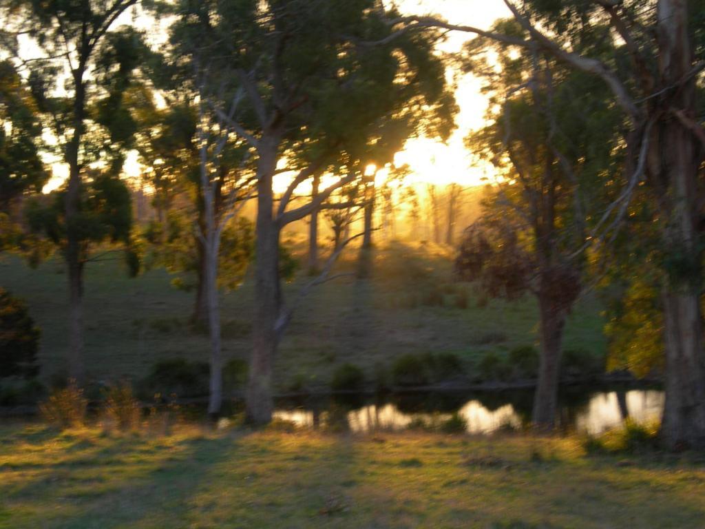 Vila Platypus Park Country Retreat Bridport Pokoj fotografie
